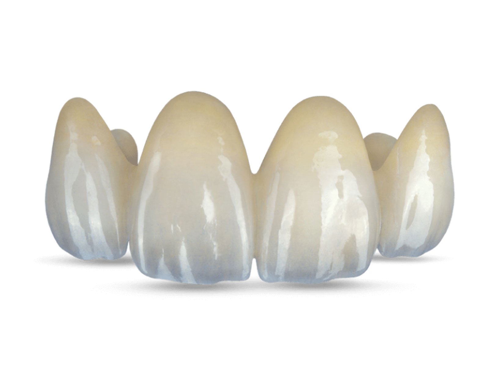 Denture